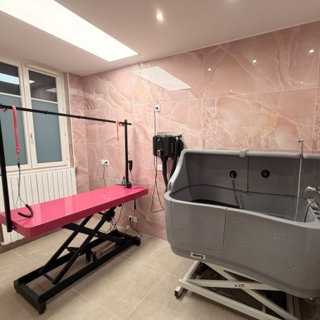 Salon de toilettage Paris 15e Salle de toilettage avec une une baignoire propre
